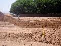 Earth and Ground