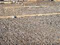 Earth and Ground